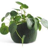 Flower Pot 16 - Medium