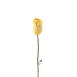 Endless Flower - Tulip