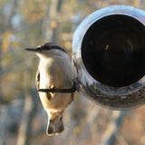 Window Bird Feeder