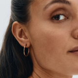 Hoops Earrings Gold Medium
