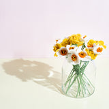 Endless Flower - Daffodil