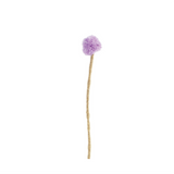 Endless Flower - Thistle