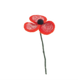 Endless Flower - Poppy
