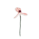 Endless Flower - Poppy