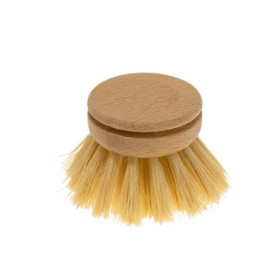 Replacement Head for Everyday Dish Brush - Tampico