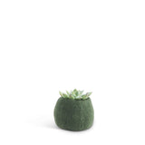 Flower Pot 16 - Small