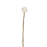 Endless Flower -  Thistle