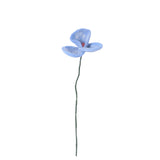 Endless Flower - Poppy