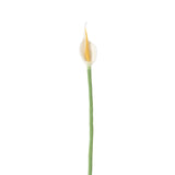 Endless Flower - Flamingo