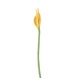 Endless Flower - Flamingo