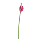 Endless Flower - Flamingo