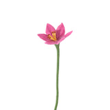 Endless Flower - Lily