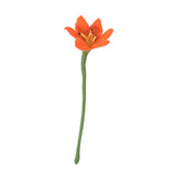 Endless Flower - Lily