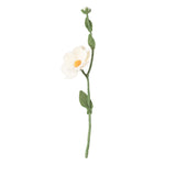 Endless Flower - Wild Rose