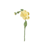 Endless Flower - Wild Rose