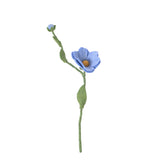 Endless Flower - Wild Rose