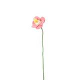 Endless Flower - Daffodil
