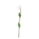 Endless Flower - Rose
