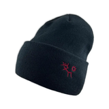 Alyeska Women's Knitted Beanie - Black