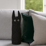 The Curious Cat