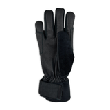 Black glove on a white background