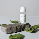 Birch Sauna Scent