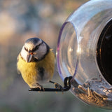 Window Bird Feeder