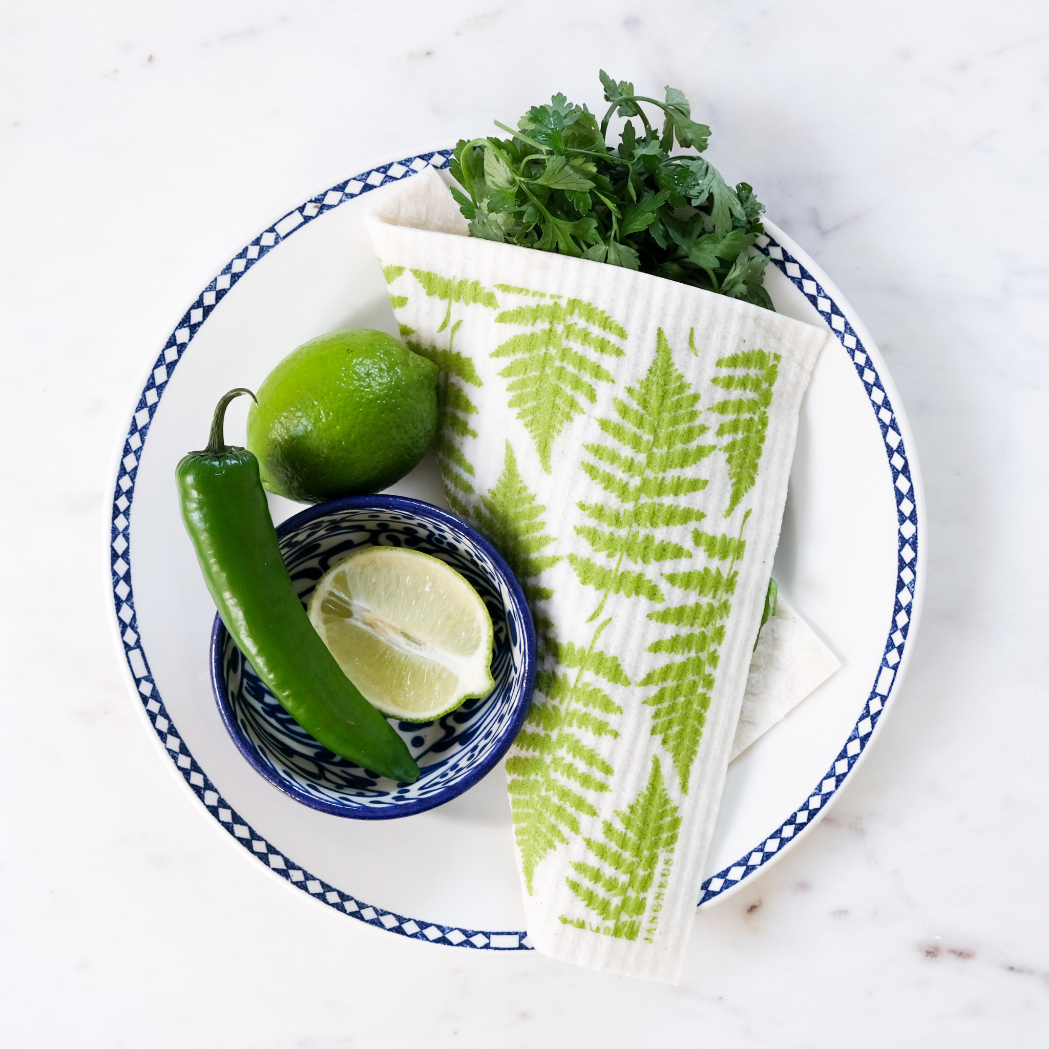 amazing swedish dishcloth fern lifestyle