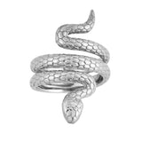 Snake Ring Steel