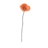 Endless Flower - Poppy