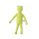 Froggy the Frog