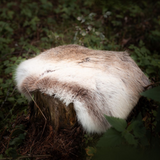 Tanned Reindeer Hide Seat Pad