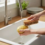 Vegetable Brush