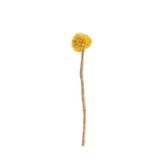 Endless Flower -  Thistle