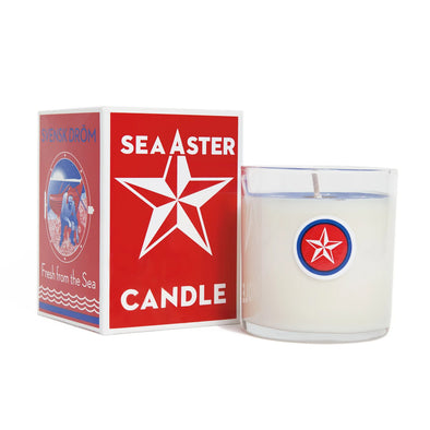 Swedish Dream Candle - Sea Aster