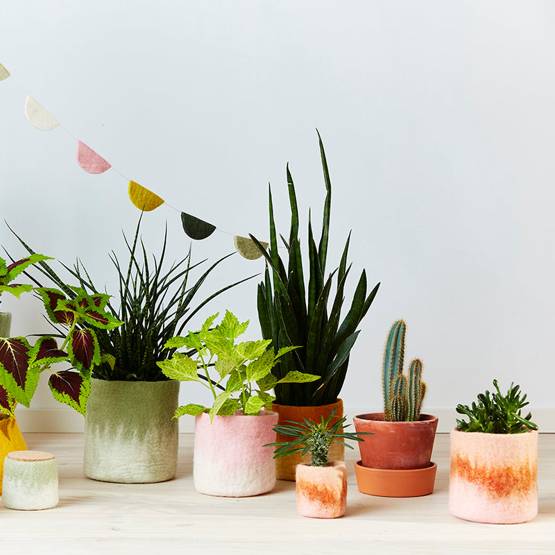 plant pots xl Flower Pot 18 - Pink