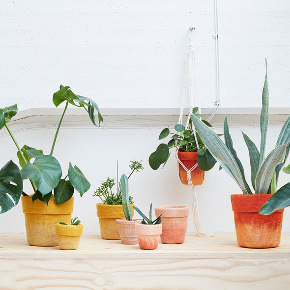 Flower Pot 20 - Medium