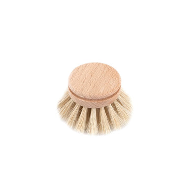 Replacement Head for Everyday Dish Brush - Horse hair